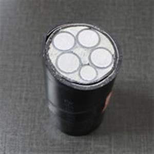 [NH-YJLV]耐火鋁芯交聯(lián)聚乙烯絕緣聚氯乙烯護(hù)套電力電纜